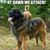 Karyn Michels's profile image