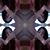 Shaylee Coloma-serikawa's profile image