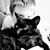 Theresa M McLoughlin Rosmus's profile image