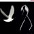 Patty Espinoza's profile image