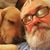 Chris Livesey's profile image