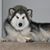 Linda Nelson Galbreath's profile image