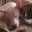 Meagz Goodwin's profile image