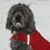 Kirstie Leopold's profile image