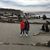 Anita Celli's profile image
