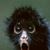 Julie Peterson's profile image