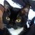 Mike Puckett's profile image