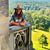 Lynda Negrete's profile image