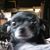 Gary Munz's profile image