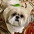 Cammie Tutwiler's profile image