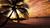 Max J.'s profile image