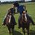 Randy Brown's profile image