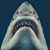 Matthew C. Barton's profile image