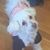 Susan Wagers's profile image