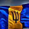 Tim W.'s profile image
