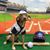 Lisa Cohen's profile image