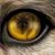 Leo Sanchez's profile image