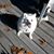 Terry Noble's profile image