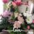Pamela Hoke Callahan's profile image