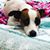 Dolores Barski's profile image