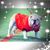 Kevin Stringer's profile image