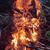 Diane Seaquist Anderson's profile image