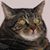 Kris Dyer's profile image