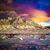 Daina Sidrys Urbaitis's profile image