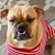 Thea Fuina Ferzola's profile image