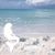 Shelley Zbranek Douglas's profile image