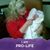 Regina Lee's profile image