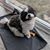 Sandy Lee's profile image