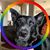 Raina Bertelsen's profile image