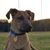 Galen Willoughby's profile image