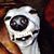 JA Allo's profile image