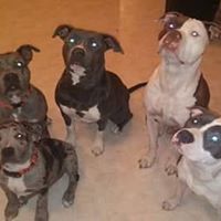 Chris James Carpenter's profile image