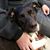 Kimberly Robison Wilson's profile image
