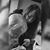 Chastidy Alexandria Typaldos's profile image