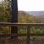 Kimberly Carter's profile image