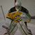 Tracy Fish's profile image