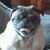 Kathi Cole's profile image