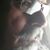 Hossein Shirinsouei's profile image