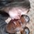 Jim Ringate's profile image