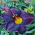 Greg Hevel's profile image