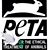 Rebecca Marie Stokes-King's profile image