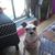 Katie Ray's profile image
