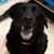 Wendy Moroz's profile image