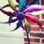 Kristina Oliver's profile image