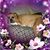 Jennifer Monty Minshall's profile image