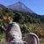 Shanna Gloria Isabel's profile image